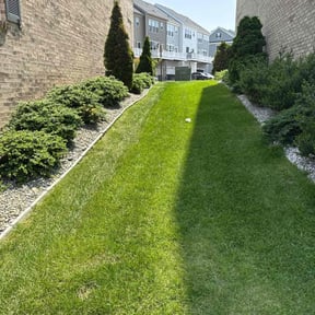 grass cutting by Year Round Landscape reviewed on August 19, 2025
