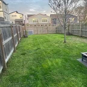 lawn care by Zay’s Lawn Services reviewed on May 14, 2024