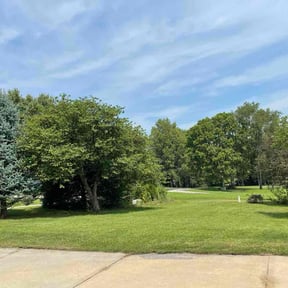 residential landscaping by chameleon lawn care reviewed on August 17, 2025