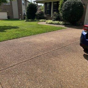 landscaping by Tellez landscaping reviewed on August 21, 2025