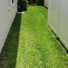 yard service by B&B lawn care reviewed on August 19, 2025
