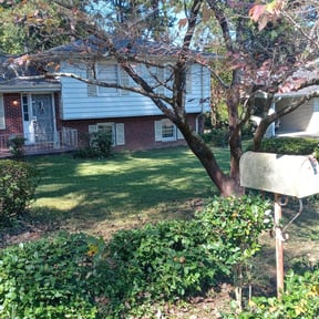 Bush Trimming by Beardall's Lawn Care reviewed on August 16, 2025