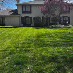 landscaping services by Miri reviewed on August 17, 2025