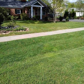 yard service by H&amp;V landscaping llc reviewed on December 24, 2025