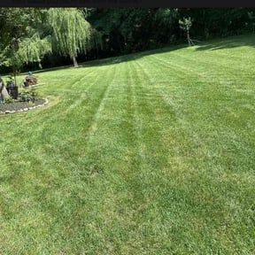 residential landscaping by D&#039;s Landscaping &amp; Design reviewed on August 20, 2025