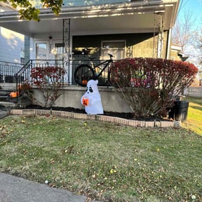 Bush Trimming by The Landscape Watch reviewed on October 18, 2025