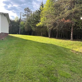 lawn care services by Smartyards LLC reviewed on July 16, 2025