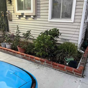 Flower Bed Weeding by N&amp;J Lawn Care reviewed on September 18, 2021