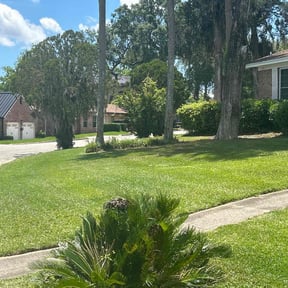 landscaping services by Lone Star Lawn & Lighting reviewed on August 19, 2025
