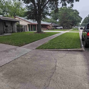 yard work by Goetreeservices reviewed on August 15, 2025