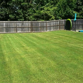 yard service by Vet-mow by J.J. reviewed on August 18, 2025