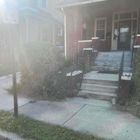 Bush Trimming by Mora Brothers Tree and Landscaping reviewed on August 18, 2024