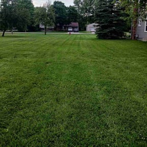 yard service by JPR DIVINE LANDSCAPING reviewed on September 7, 2025