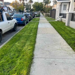 turf maintenance by Forever Green FG LLC reviewed on May 3, 2025