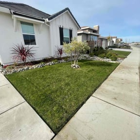 yard care by All&amp;1 landscaping reviewed on October 19, 2025