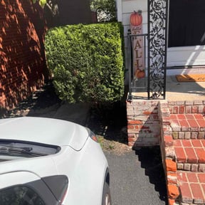 Bush Trimming by Year Round Landscape reviewed on October 23, 2025