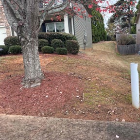 Leaf Removal by Cavender Landscaping reviewed on November 21, 2025