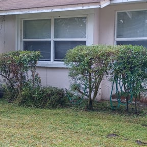 Bush Trimming by Roberto Pena reviewed on August 20, 2025