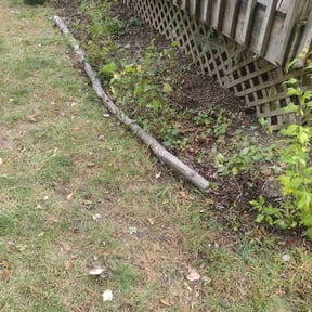 Flower Bed Weeding by Lawn Stars reviewed on January 1, 2026