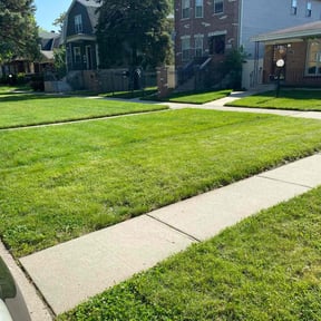 gardening service by McDannell Improvements reviewed on August 21, 2025