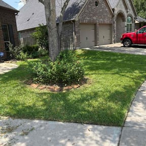 yard service by Ride In Shine Out reviewed on November 22, 2025