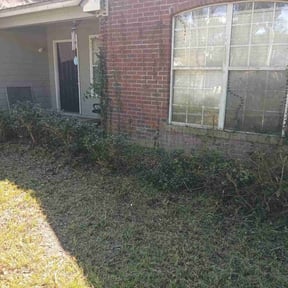 Bush Trimming by Lee reviewed on June 24, 2020