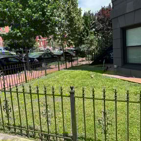 grass maintenance by Lawn Gnomes LLC reviewed on August 19, 2025