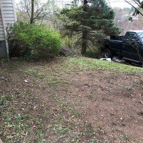 Bush Trimming by Arawakcay Landscaping & Fence reviewed on August 21, 2025