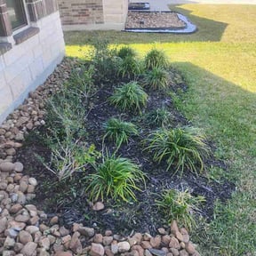 Flower Bed Weeding by Mowtivated Landscaping reviewed on March 20, 2026