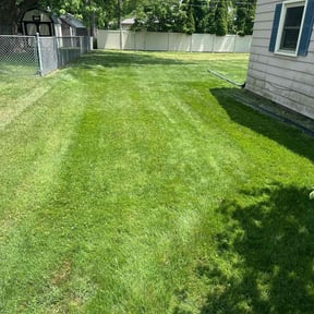 landscaping by EZe quality scapes reviewed on August 17, 2025