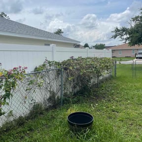 Bush Trimming by Edgar Yanez Services reviewed on August 18, 2025