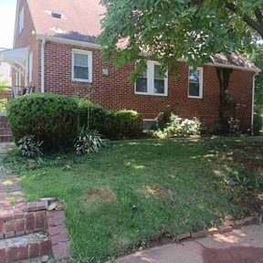 Bush Trimming by M&S All Seasons Lawn Maintenance reviewed on August 14, 2025