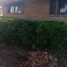 Bush Trimming by R J Lawn Care reviewed on March 15, 2023