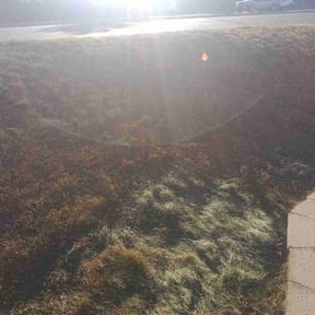 Leaf Removal by Greenwood Irrigation &amp; Lawn Care LLC reviewed on October 18, 2025