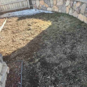 Leaf Removal by The lawn Guy reviewed on September 10, 2025
