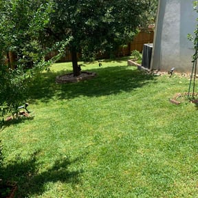 landscaping services by TH lawncare reviewed on August 17, 2025