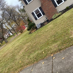 Leaf Removal by Logans Lawn service reviewed on September 8, 2025