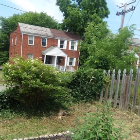 Bush Trimming by The Yard Guy reviewed on August 20, 2025