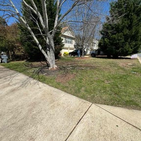 Bush Trimming by AC LAWN CARE SERVICES LLC reviewed on August 15, 2025