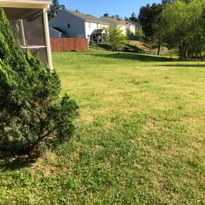 Bush Trimming by F&M LAWNCARE reviewed on August 17, 2025