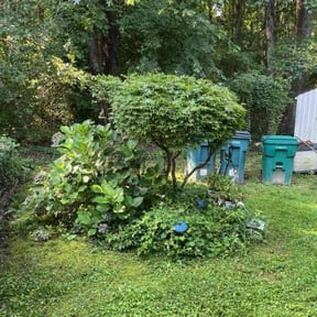 Bush Trimming by AA Property Services Inc reviewed on November 23, 2025