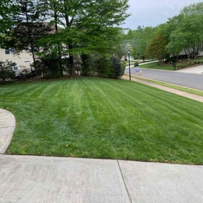 yard maintenance by Green Akers reviewed on January 29, 2026