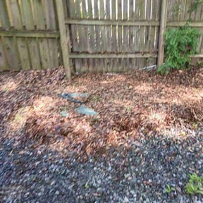 Leaf Removal by Lawn Rescue reviewed on June 23, 2026