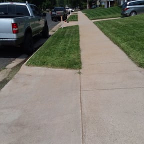 Bush Trimming by 911 elite landscaping reviewed on August 19, 2025