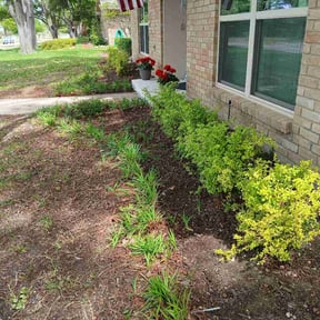 Bush Trimming by Hope property Management reviewed on March 30, 2026