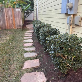 Bush Trimming by The Wright Lawn Care reviewed on November 23, 2025