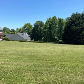 yard maintenance by gator green cuts reviewed on August 18, 2025