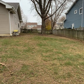 Leaf Removal by Sbc Pressure Washing &amp; more LLC.. reviewed on September 16, 2025