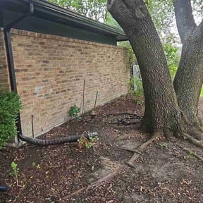 Leaf Removal by Texas landscape reviewed on September 23, 2025