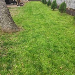 lawn care services by Stephenie Krapf reviewed on August 18, 2025